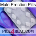 Male Erection Pills 16